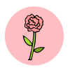 icono_q6_1